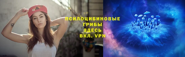 дурь Ельня