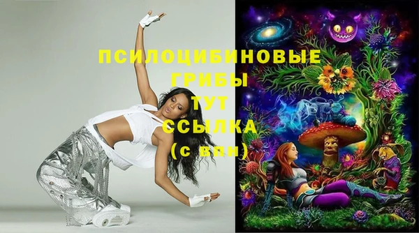 дурь Ельня