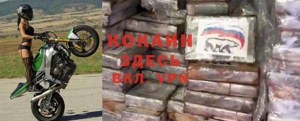 дурь Ельня