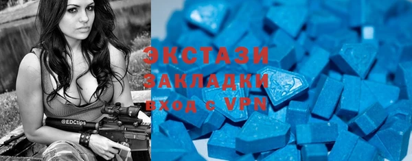 дурь Ельня